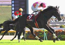 競馬,レース写真パネル | サンスポe-shop