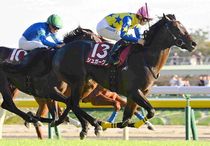 競馬,レース写真パネル | サンスポe-shop