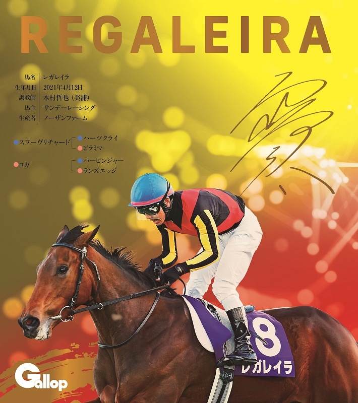 名馬全史色紙コレクション第5弾 （ランダム1枚） | サンスポe-shop