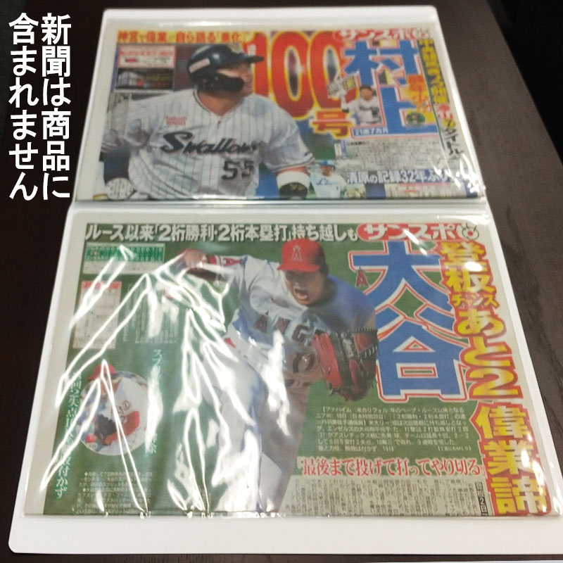サンスポ収納ファイル