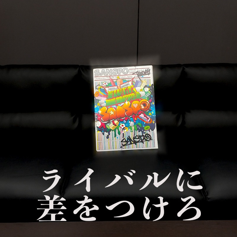 サンスポ収納ファイル