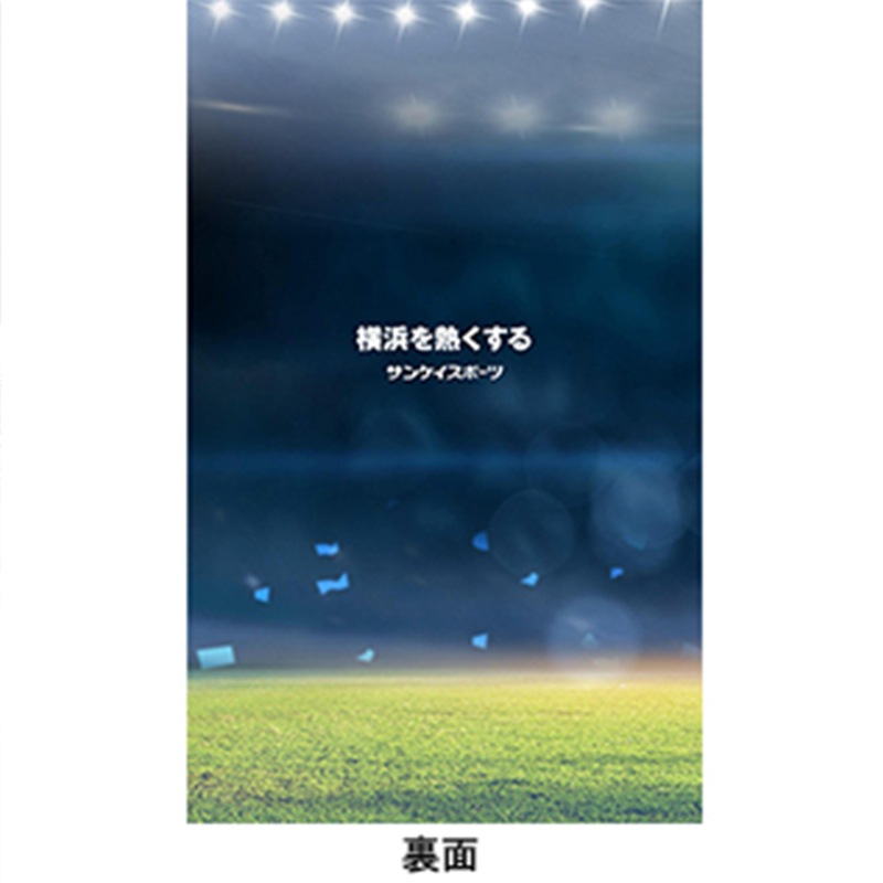 復刻!「BAY☆スタ収納ファイル」