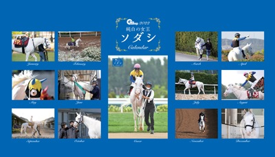 JRA重賞年鑑 Gallop2021