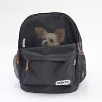 Բ 7ȯ ڥåȥ꡼å [ OD223-011-002 ] OUTDOOR PRODUCTS / ȥɥץ