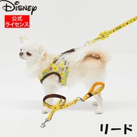 着日指定不可 14日以内に発送 Disney ディズニー プーさんリード [ DS213-141-001 ] |BUYERS SELECT|OTHER BRAND [ その他のブランド ]