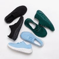 ��å��� ���ˡ����� [  ] ZLSW-3005