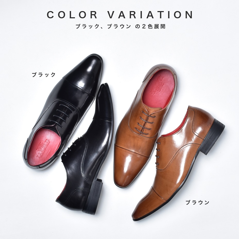 ���ȥ졼�ȥ��å� �쥶�� �ӥ��ͥ����塼�� [ LLT78-5 ]  LUCIUS / �륷����