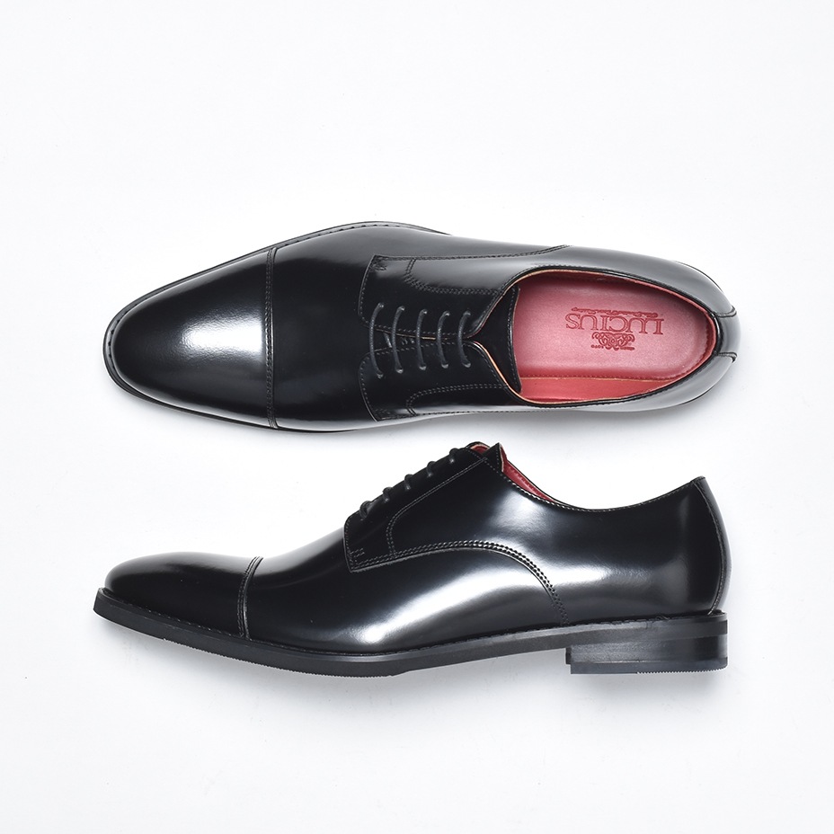 ���ȥ졼�ȥ��å� �쥶�� �ӥ��ͥ����塼�� [ LLT950-1 ]  LUCIUS / �륷����