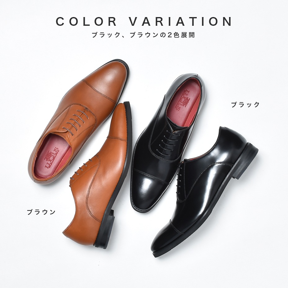 ���ȥ졼�ȥ��å� �쥶�� �ӥ��ͥ����塼�� [ LLT950-2 ]  LUCIUS / �륷����