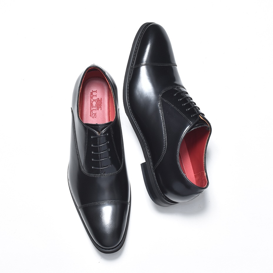 ���ȥ졼�ȥ��å� �쥶�� �ӥ��ͥ����塼�� [ LLT950-2 ]  LUCIUS / �륷����