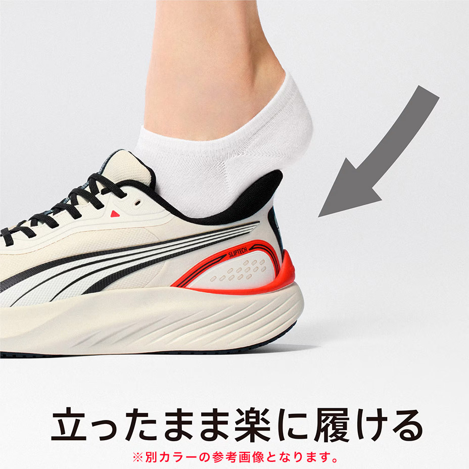 �ѥ��� �饤�� PTX ���������� ���˥󥰥��塼�� [ PUMA-312672 ] PUMA / �ס���