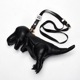 T-rex mini bag [ A13BG710 ] MIHARA YASUHIRO / ߥϥ䥹ҥ