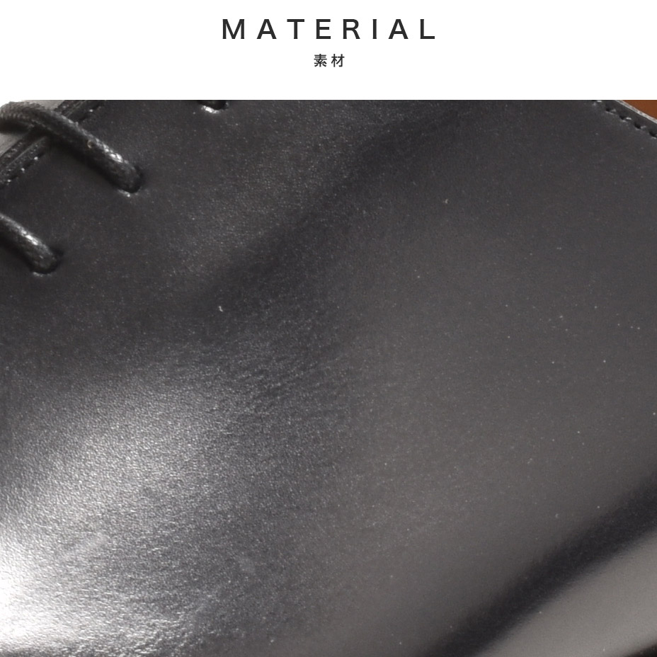 �ۡ��륫�åȥ��塼�� [ G3607-01 ] FRANCESCO BENIGNO / �ե����������٥ˡ��˥�