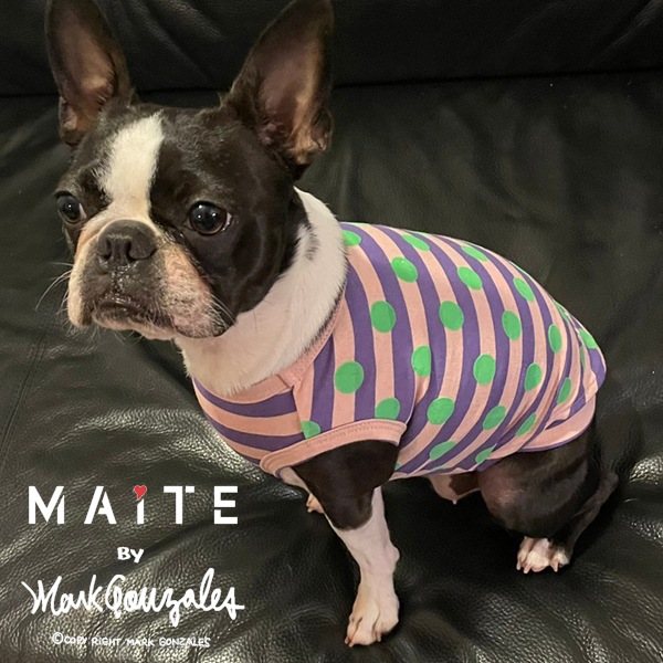 Whipped cream ۥåץ꡼ [ MM211-TE005 ] MAiTE by Mark Gonzales / ޥ Х ޡ󥶥쥹