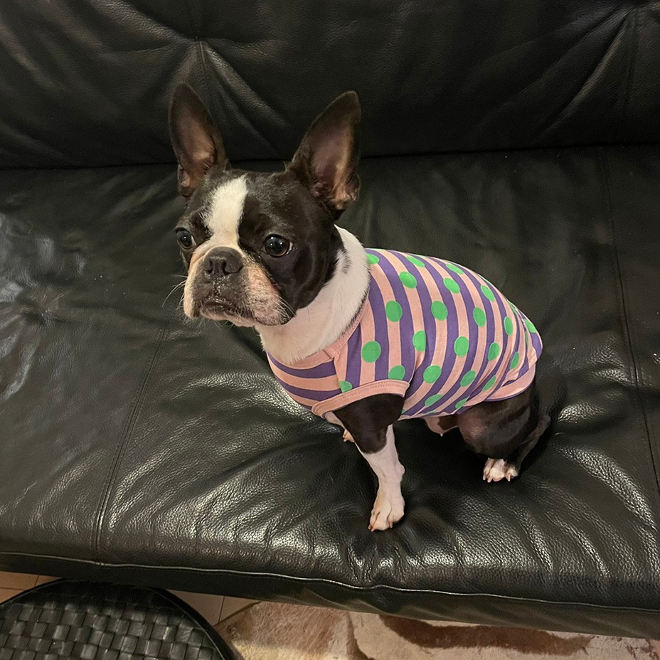 Whipped cream ۥåץ꡼ [ MM211-TE005 ] MAiTE by Mark Gonzales / ޥ Х ޡ󥶥쥹