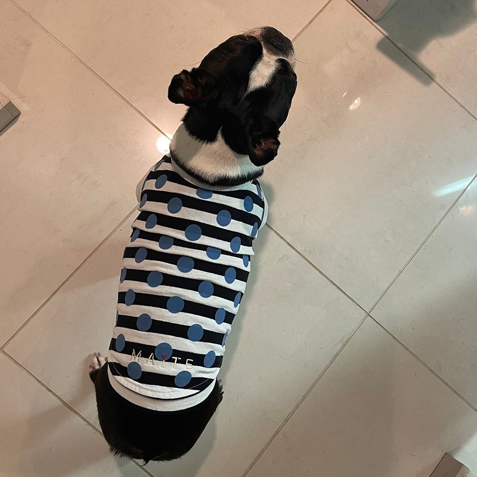 Whipped cream ۥåץ꡼ [ MM211-TE005 ] MAiTE by Mark Gonzales / ޥ Х ޡ󥶥쥹