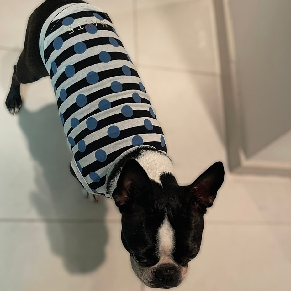 Whipped cream ۥåץ꡼ [ MM211-TE005 ] MAiTE by Mark Gonzales / ޥ Х ޡ󥶥쥹