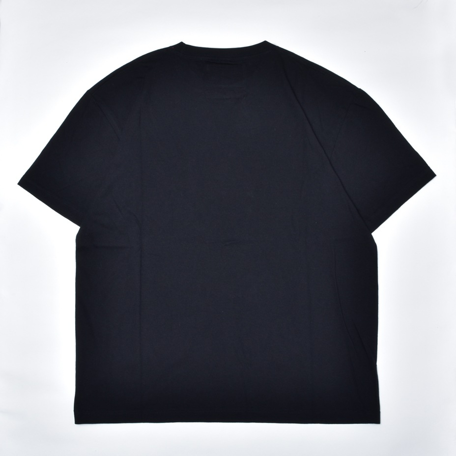 C16S503 [ C16S503 ] TSUNG YU CHAN / �ĥ��󡦥桦�ĥ���