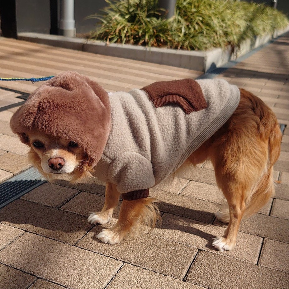 ɥå ѡ աǥ [ 21203-2001 ] meagratia / ᥢ顼ƥ