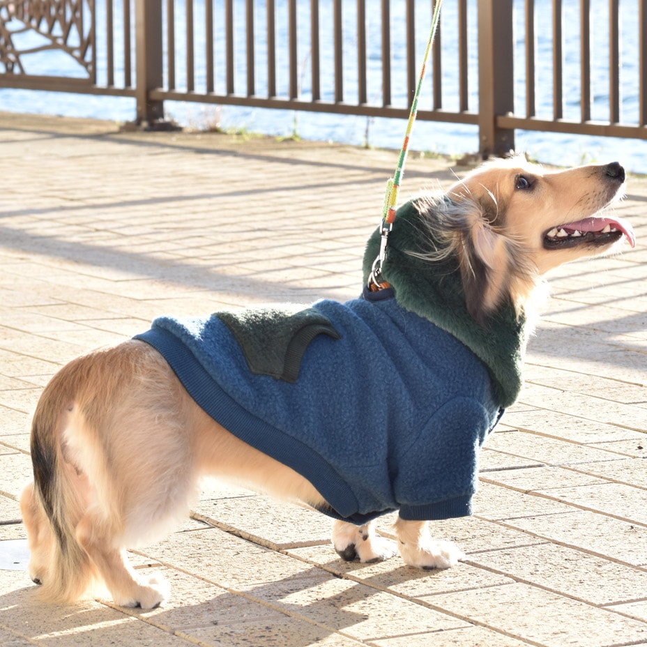 ɥå ѡ աǥ [ 21203-2001 ] meagratia / ᥢ顼ƥ