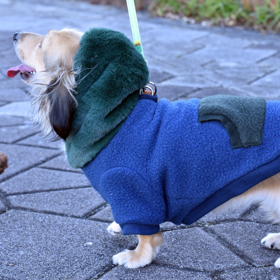 ɥå ѡ աǥ [ 21203-2001 ] meagratia / ᥢ顼ƥ