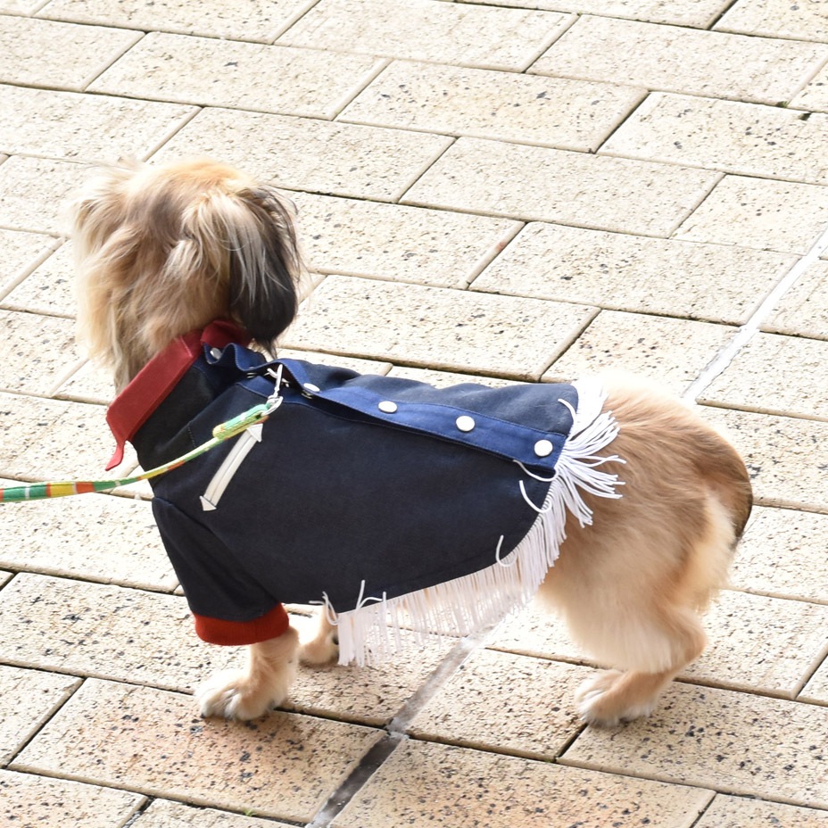 �ɥå������� ���������󥷥�� [ 21203-2003 ] meagratia / �ᥢ���顼�ƥ���