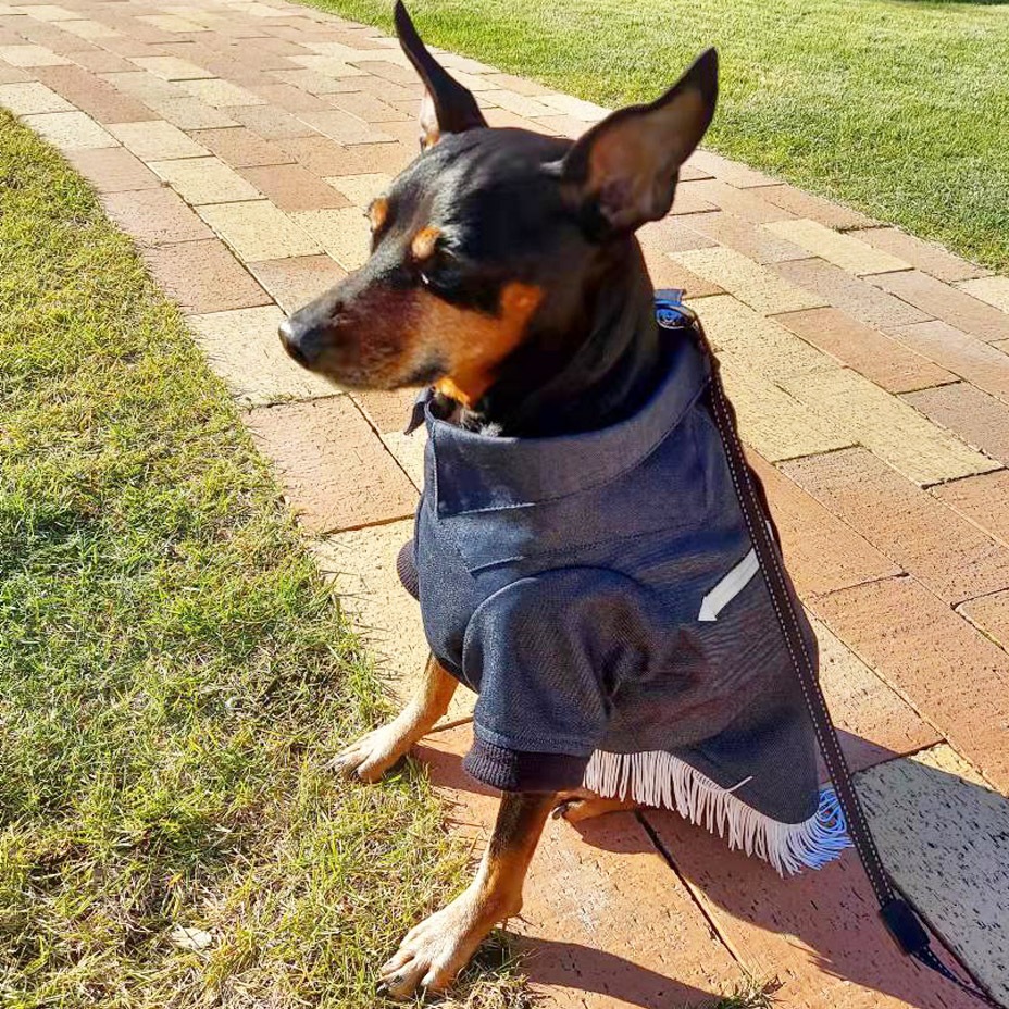 �ɥå������� ���������󥷥�� [ 21203-2003 ] meagratia / �ᥢ���顼�ƥ���