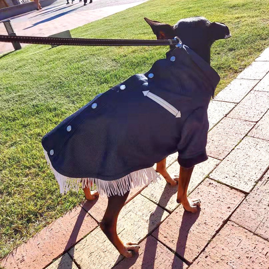 �ɥå������� ���������󥷥�� [ 21203-2003 ] meagratia / �ᥢ���顼�ƥ���