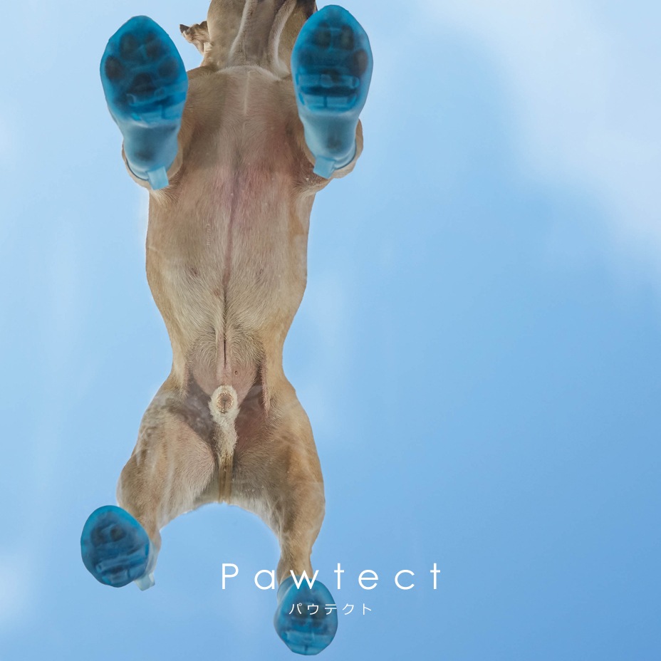 Pawtect [ PICA-PAWA-4 ] PET'S ADVANCE / �ڥåȥ��ɥХ�