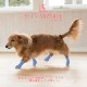 Pawtect [ PICA-PAWA-4 ] PET'S ADVANCE / �ڥåȥ��ɥХ�
