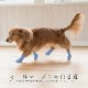 Pawtect [ PICA-PAWA-4 ] PET'S ADVANCE / �ڥåȥ��ɥХ�