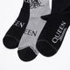 3PAIR PACK QUEEN ASSORTED CREW / [ QUC370 ] Perris Socks / �ڥ꡼�����å���