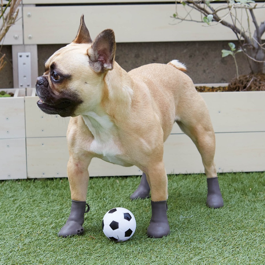 Pawtect [ PICA-PAWN-2 ] PET'S ADVANCE / �ڥåȥ��ɥХ�