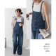 �ǥ˥ॵ���ڥåȥ磻�ɥѥ�� [ WD-0253 ] 