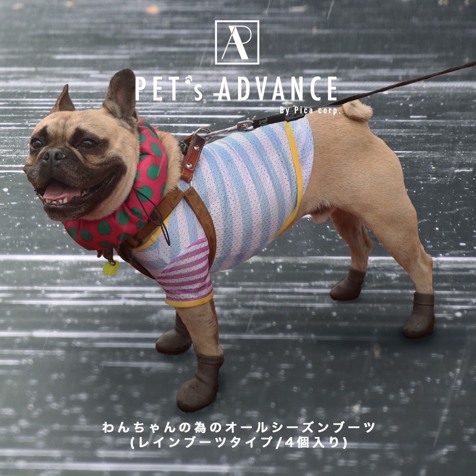 Pawtect [ PICA-PAWN-4 ] PET'S ADVANCE / ڥåȥɥХ