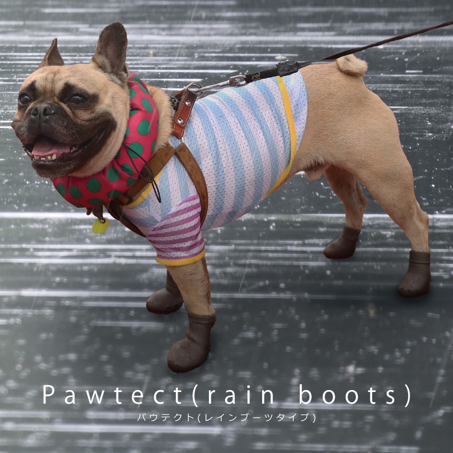 Pawtect [ PICA-PAWN-4 ] PET'S ADVANCE / ڥåȥɥХ