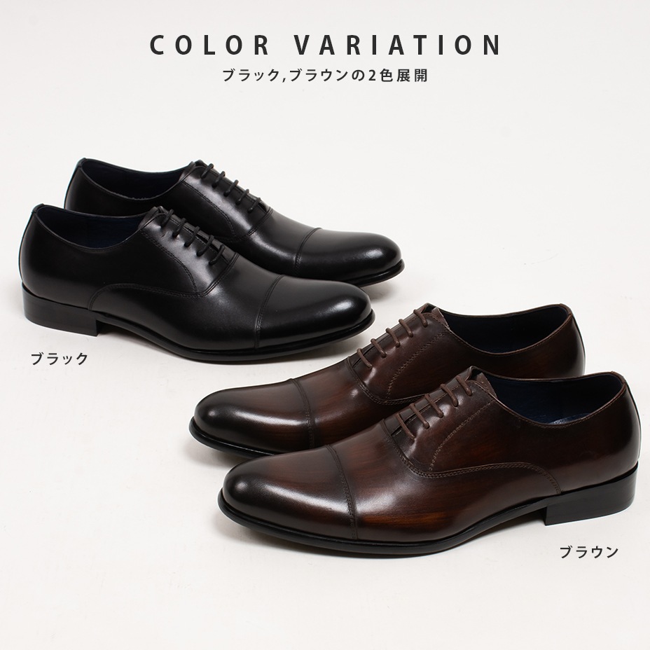 ���ȥ졼�ȥ��å��Ⱪ���ӥ��ͥ����塼�� [ LLT204-1 ] LUCIUS / �륷����