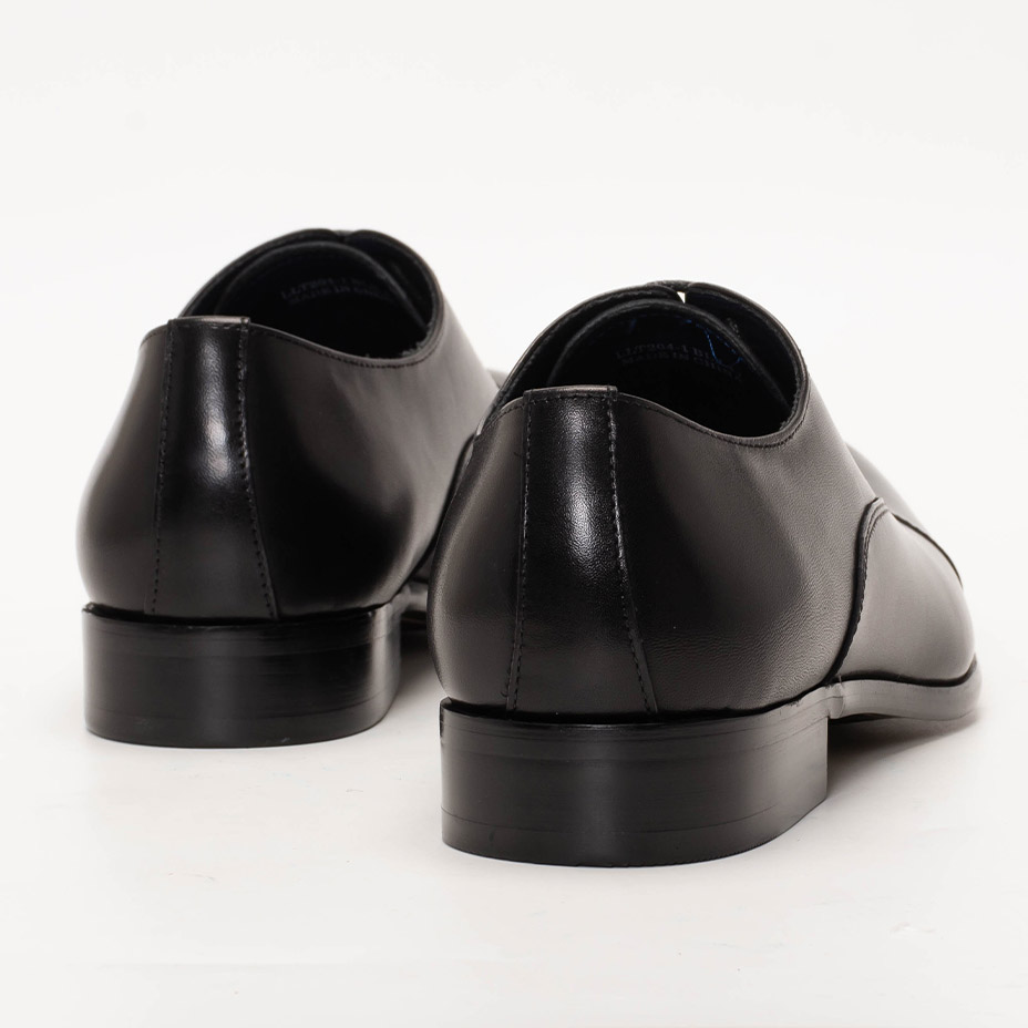 ���ȥ졼�ȥ��å��Ⱪ���ӥ��ͥ����塼�� [ LLT204-1 ] LUCIUS / �륷����