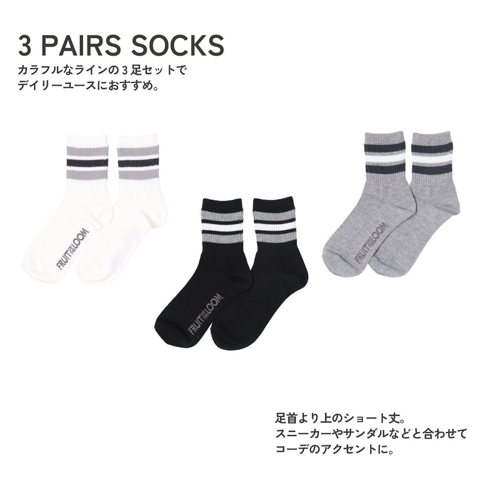 Q FTL3P �١����å����顼�饤��ʿ�� [ 81170700 ] FRUIT OF THE LOOM / �ե롼�ĥ��֥��롼��