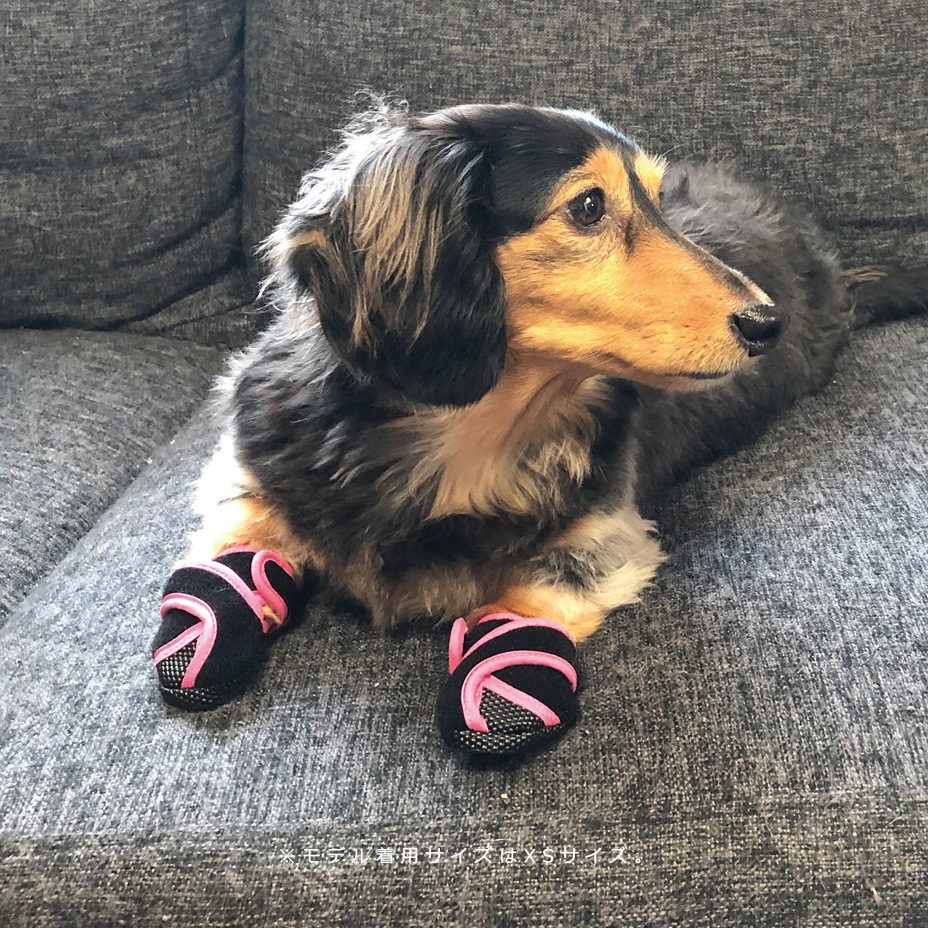 Inutabi [ PICA-PADT ] PET'S ADVANCE / �ڥåȥ��ɥХ�