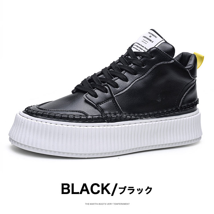 ���� ��� ���ˡ����� [ ALPS-BD2106 ]