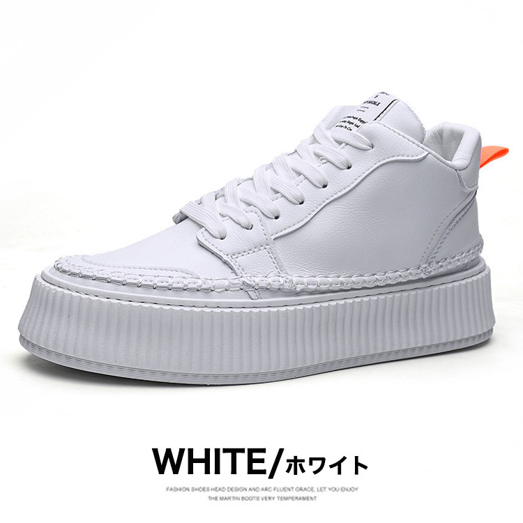 ���� ��� ���ˡ����� [ ALPS-BD2106 ]