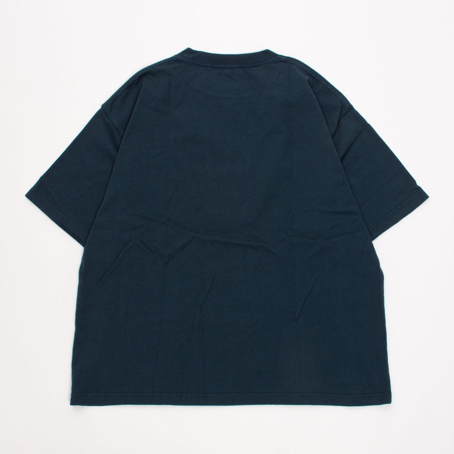 �������顼��󥯥� BIG TEE [ go slow caravan / ���������������Х� ] SNK-361917