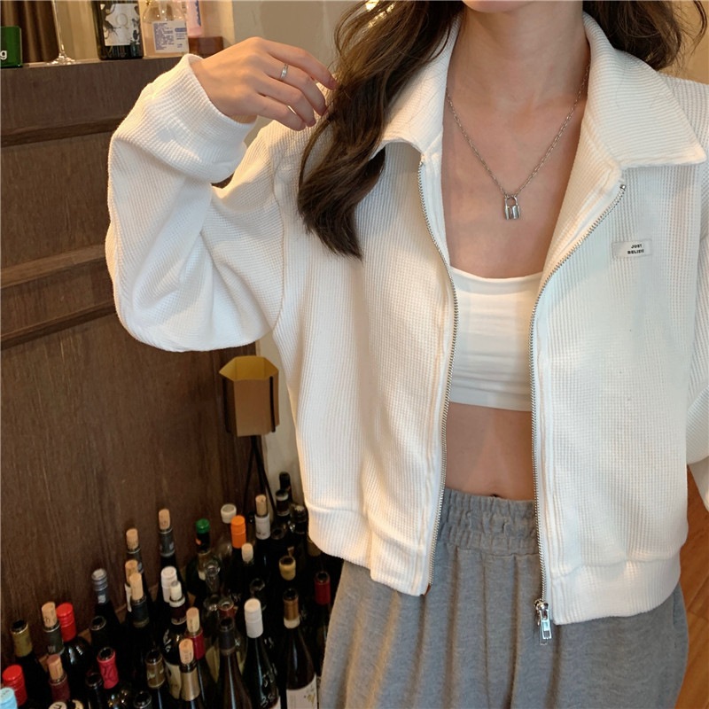 ��åե�饤�ȥ������� [ NXLIKOU-0003 ] SVEC / ����٥å�