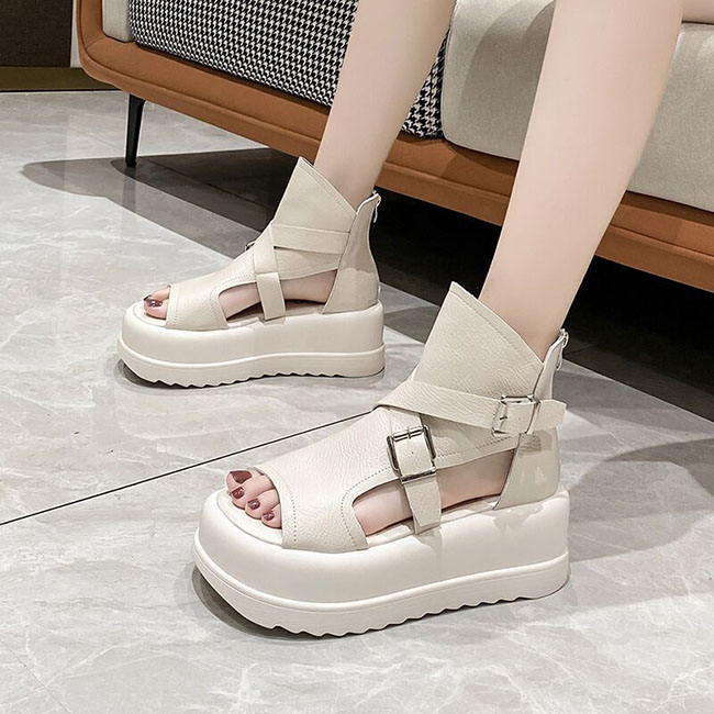 ����֡��ĥ������ �֡����� �ץ�åȥե����� ������� [BSPD003-23]