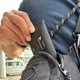 shimple wallet ZeNY-X [ DO-031 ] DAY OUT / ǥ