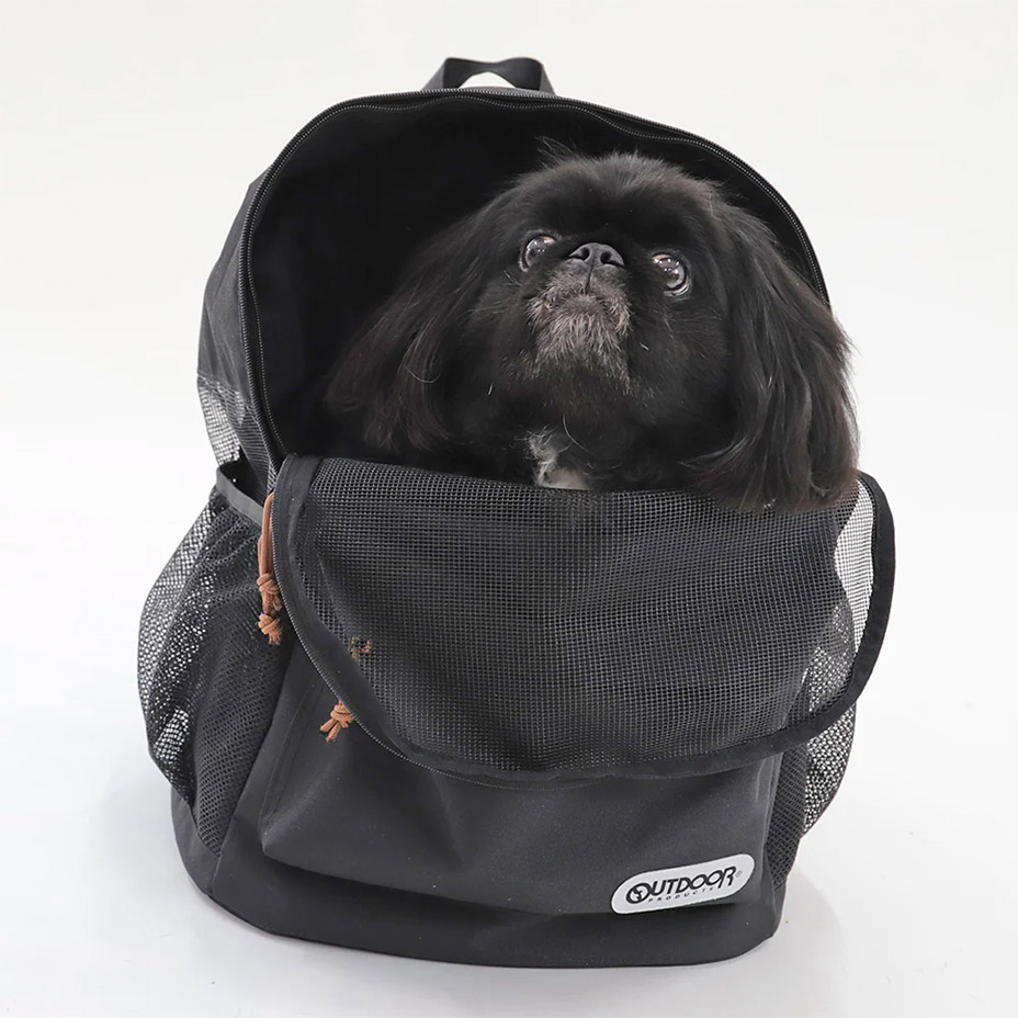 ���������Բ� 7�������ȯ�� �ڥåȥ���꡼���å� [ OD223-011-002 ] OUTDOOR PRODUCTS / �����ȥɥ��ץ�������