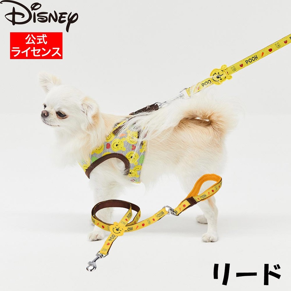 ���������Բ� 14�������ȯ�� Disney �ǥ����ˡ� �ס�����꡼�� [ DS213-141-001 ] 