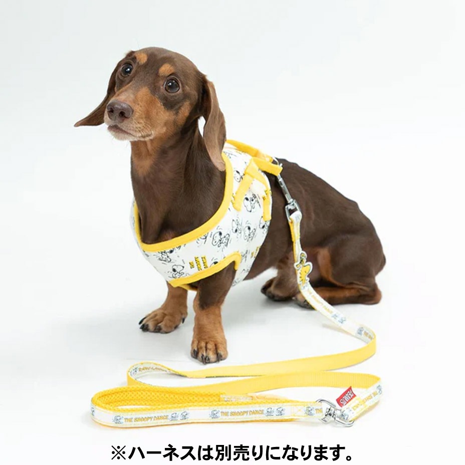 ���������Բ� 14�������ȯ�� PEANUTS ���̡��ԡ��꡼�� [ SN213-141-0 ] 