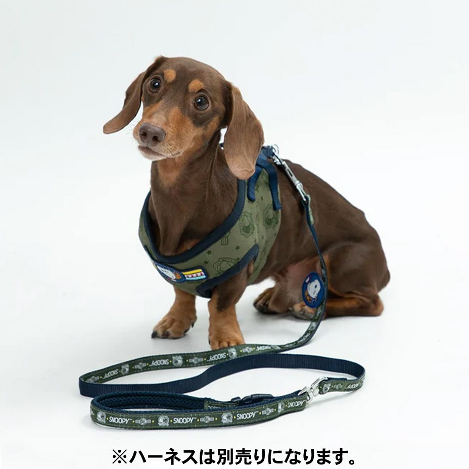 ���������Բ� 14�������ȯ�� PEANUTS ���̡��ԡ��꡼�� [ SN213-141-0 ] 
